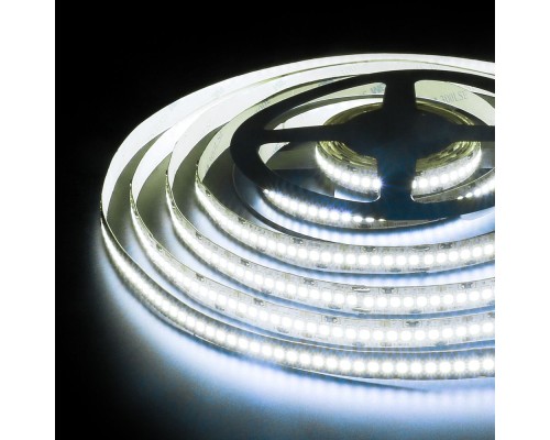Светодиодная лента 24V 24W IP20 Лента светодиодная 24V 24W 240Led 2835 IP20 холодный белый, 5м Elektrostandard