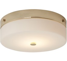 Потолочный светильник Tamar TAMAR-F-L-PG Elstead