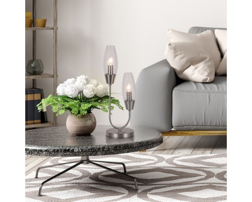 Интерьерная настольная лампа Desire 10165/2 Nickel Escada