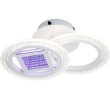 Потолочный светильник MIRA 10214/2LED Escada