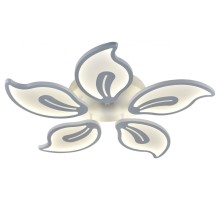 Потолочная люстра  10215/5LED Escada