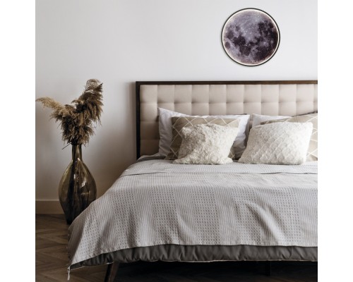 Настенно-потолочный светильник Planet 10226/SG LED Mars Escada