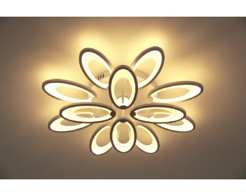 Потолочная люстра  10238/12LED Escada