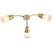 Потолочная люстра Aquilegia 1100/3P Gold Escada