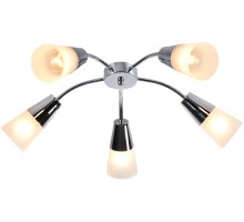 Потолочная люстра Aquilegia 1100/5P Chrome Escada