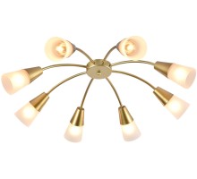 Потолочная люстра Aquilegia 1100/8P Gold Escada