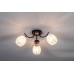 Потолочная люстра Оптима 1104/3P Escada