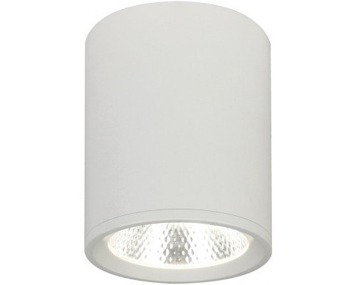 Точечный светильник 20003 20003SMU/02LED SWH Escada