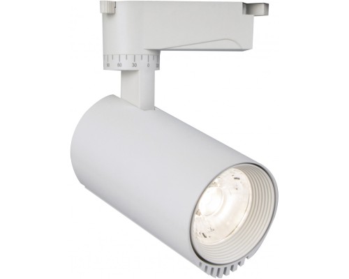 Трековый светильник 20031 20031TRA/03LED SWH Escada