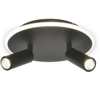 Настенно-потолочный светильник 20046LED 20046SMA/02LED BK Escada