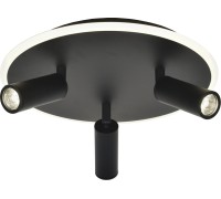 Потолочный светильник 20046LED 20046SMA/03LED BK Escada