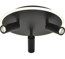 Потолочный светильник 20046LED 20046SMA/03LED BK Escada
