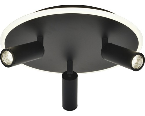 Потолочный светильник 20046LED 20046SMA/03LED BK Escada