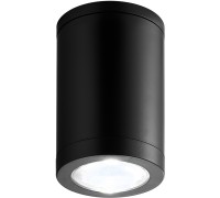 Потолочный светильник уличный 30008 30008P/01 Escada