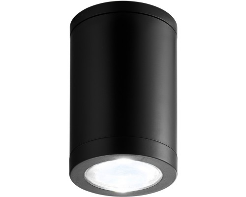 Потолочный светильник уличный 30008 30008P/01 Escada