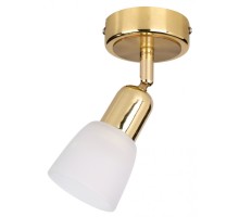 Спот Debora 5039/1PA Escada