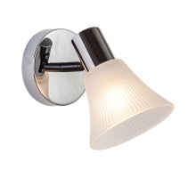 Спот  661/1A Escada