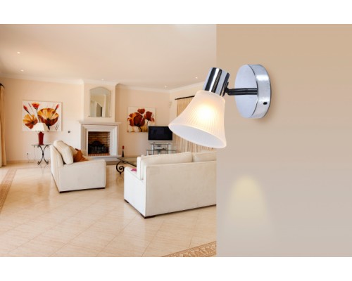 Спот  661/1A Escada