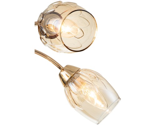 Потолочная люстра Allium 663/5P Escada