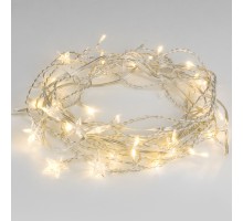 Гирлянда 100-002 100-002 теплый белый Eurosvet