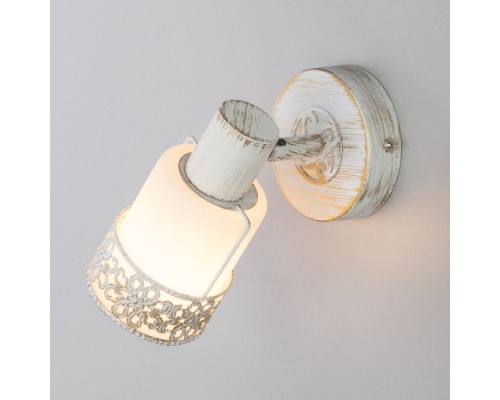 Спот 20025-20026 20025/1 белый с золотом Eurosvet