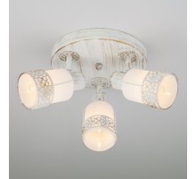 Спот 20025-20026 20026/3 белый с золотом Eurosvet