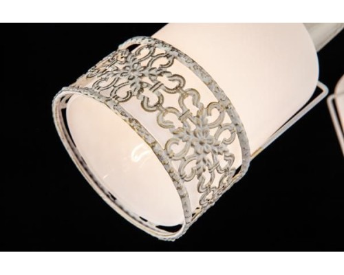 Спот 20025-20026 20026/3 белый с золотом Eurosvet