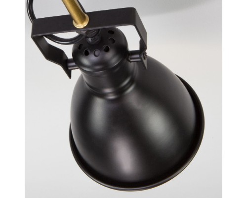 Потолочная люстра Denley 70112/8 черный Eurosvet