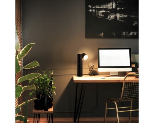 Настольная лампа Premier 80425/1 черный Eurosvet