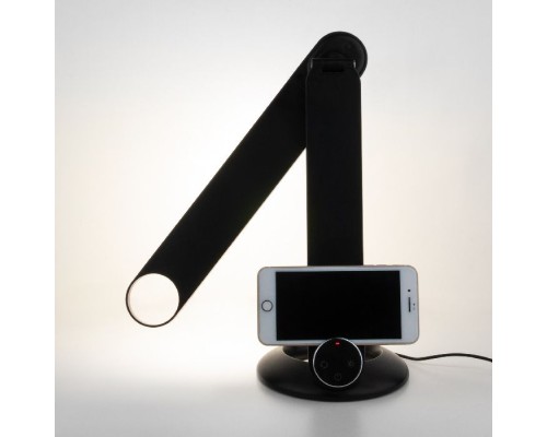 Настольная лампа Action 80428/1 черный Eurosvet