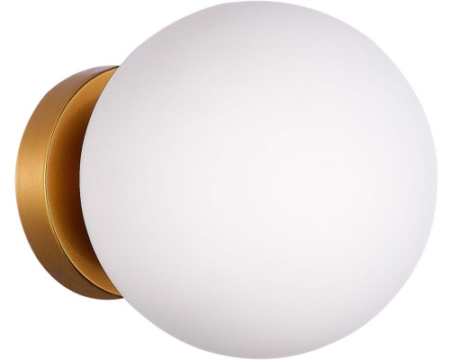 Настенно-потолочный светильник Acini SL717.201.01 Evoluce