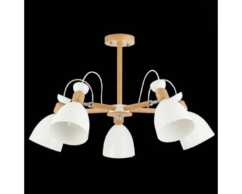 Потолочная люстра Balcamo SLE103802-05 Evoluce