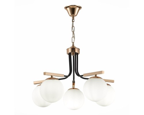 Подвесная люстра Sonco SLE106803-05 Evoluce