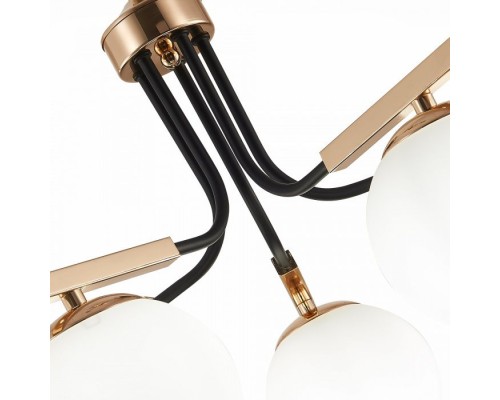 Подвесная люстра Sonco SLE106803-05 Evoluce