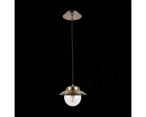 Подвесной светильник Garonni SLE110103-01 Evoluce