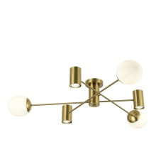 Потолочная люстра Raito SLE1105-302-06 Evoluce