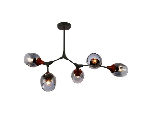 Потолочная люстра Ciotolla SLE113402-05 Evoluce