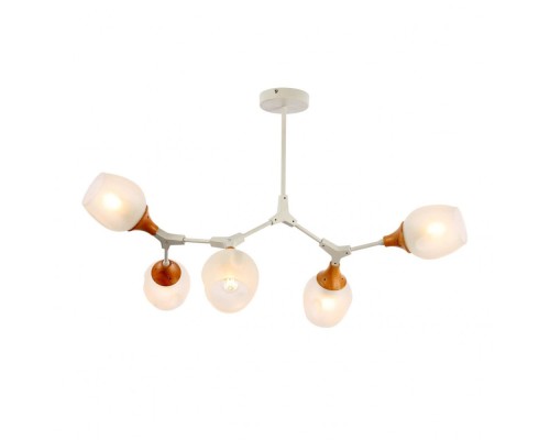 Потолочная люстра Ciotolla SLE113502-05 Evoluce