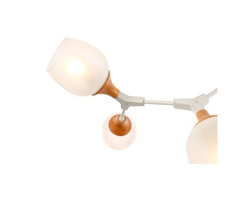 Потолочная люстра Ciotolla SLE113502-05 Evoluce