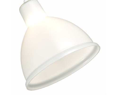 Подвесной светильник Bacchi SLE114703-01 Evoluce