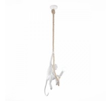 Подвесной светильник Tenato SLE115103-01 Evoluce