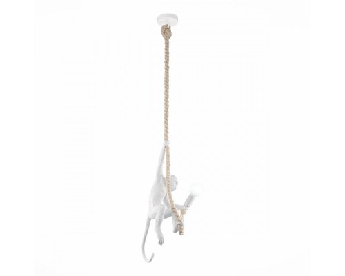 Подвесной светильник Tenato SLE115103-01 Evoluce