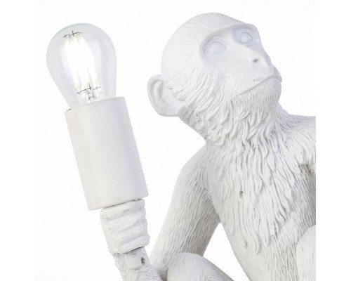 Настольная лампа Tenato SLE115104-01 Evoluce