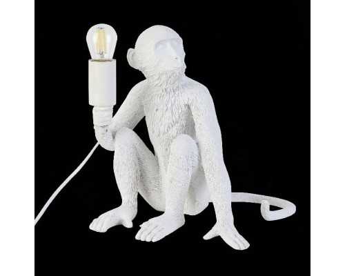 Настольная лампа Tenato SLE115104-01 Evoluce