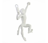 Бра Tenato SLE115111-01 Evoluce