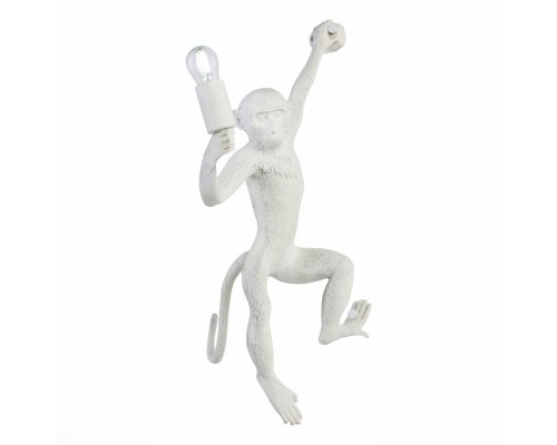 Бра Tenato SLE115111-01 Evoluce