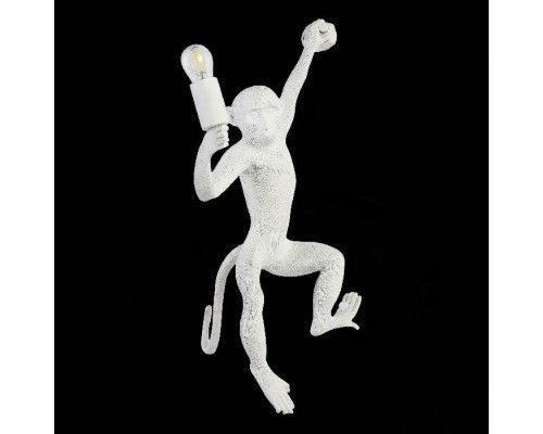 Бра Tenato SLE115111-01 Evoluce