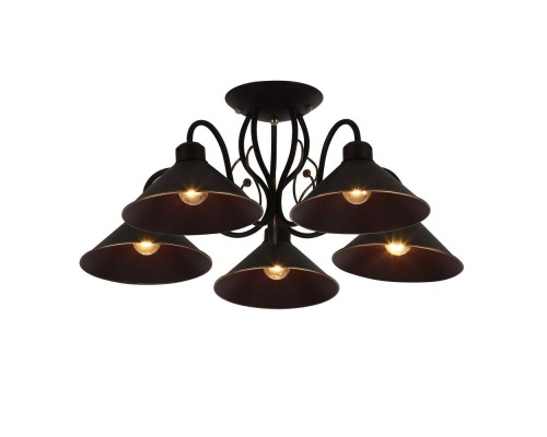 Потолочная люстра Ciolla SLE120402-05 Evoluce