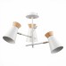 Потолочная люстра Alfeo SLE1252-502-03 Evoluce
