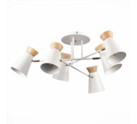 Потолочная люстра Alfeo SLE1252-502-06 Evoluce